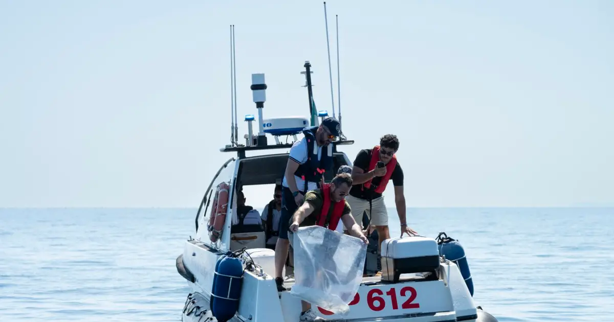 Octopuses released into Adriatic Sea to tackle invasive crabs