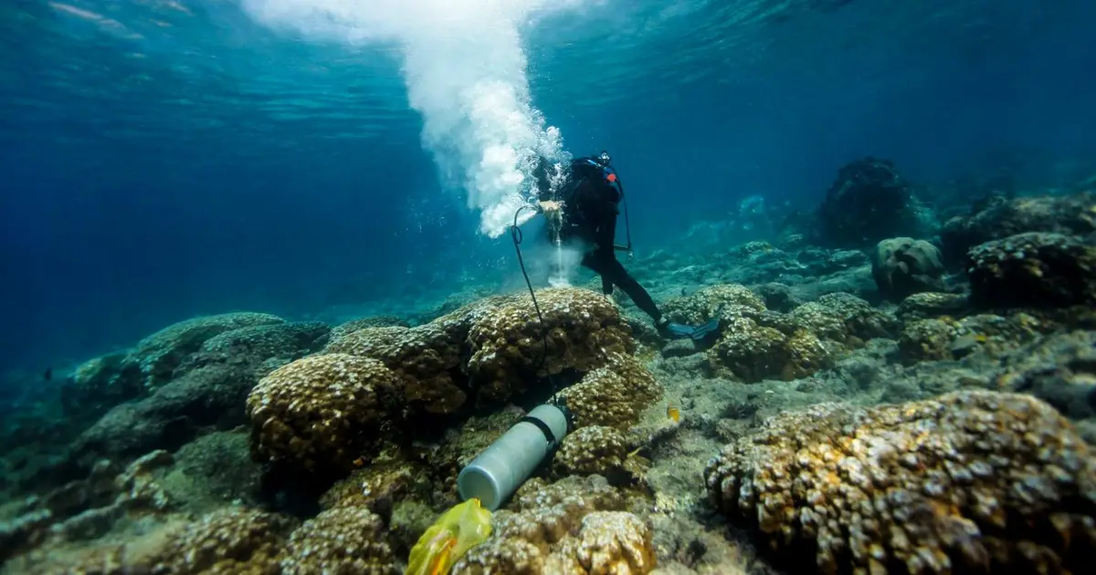 Galapagos corals suggest climate change drives stronger El Niños