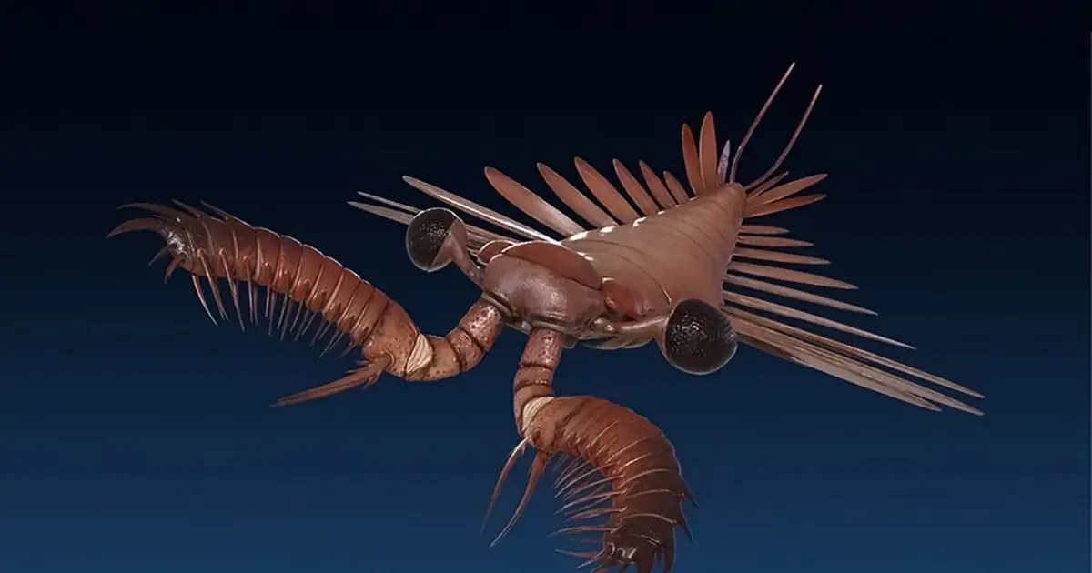 Healed fang wound found on 520-million-year-old apex predator