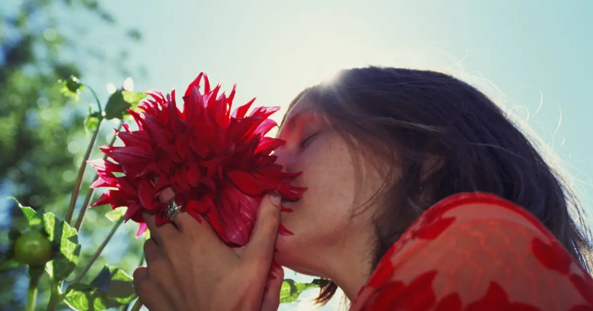 Is there also such a thing as an olfactory illusion?