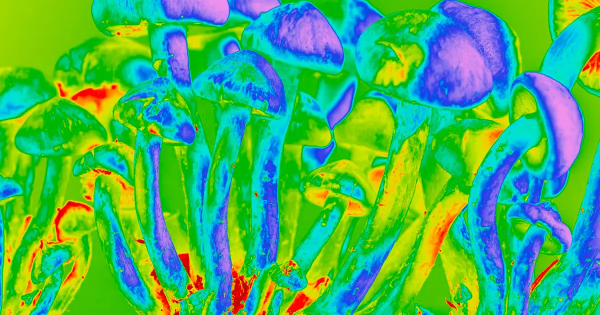 Psilocybin could prevent common and debilitating chemotherapy side effect