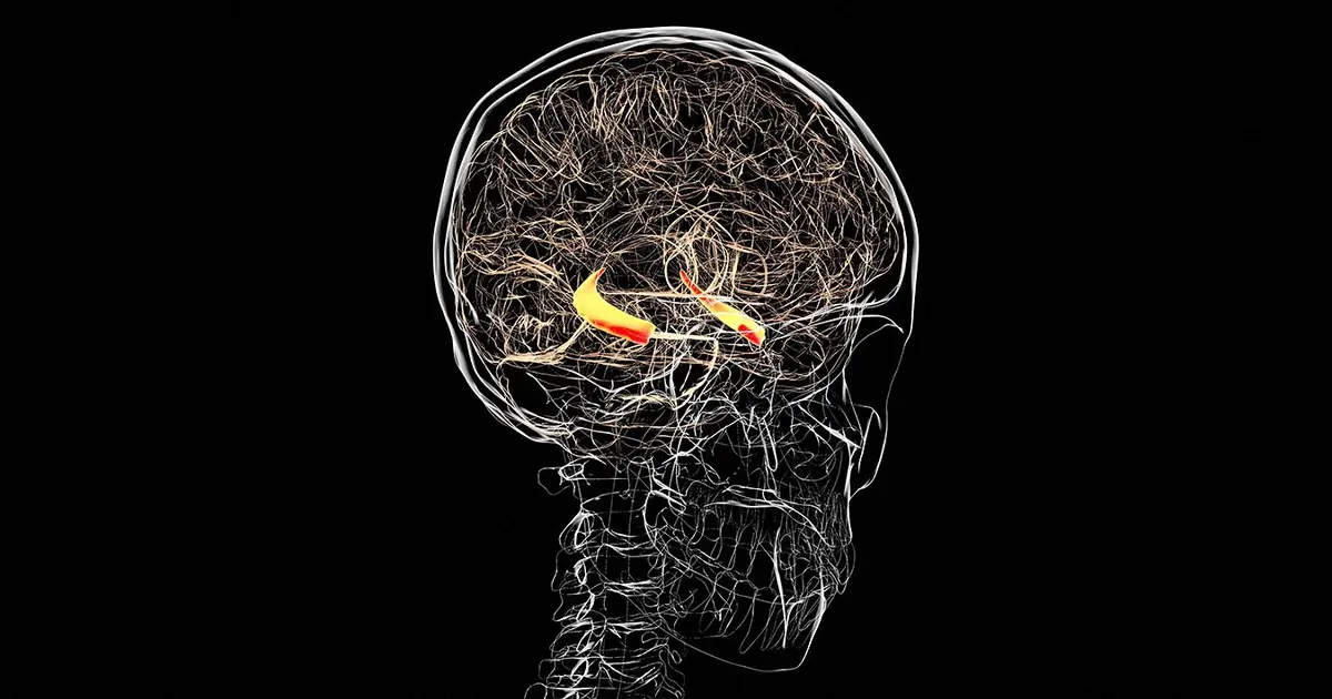 Zapping the face could boost brain signalling and memory