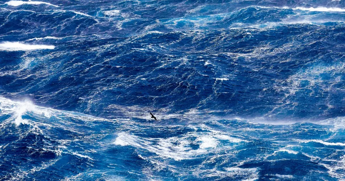 The world’s biggest carbon sink may start emitting CO2 after net zero