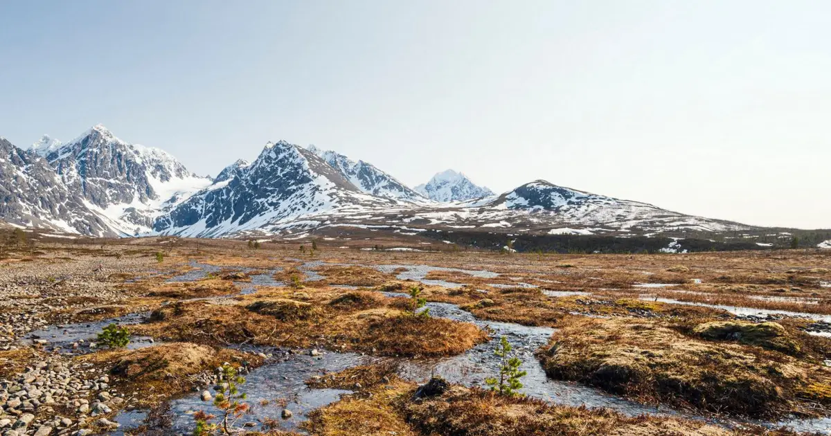Natural feedbacks will warm world an extra 20 per cent this century