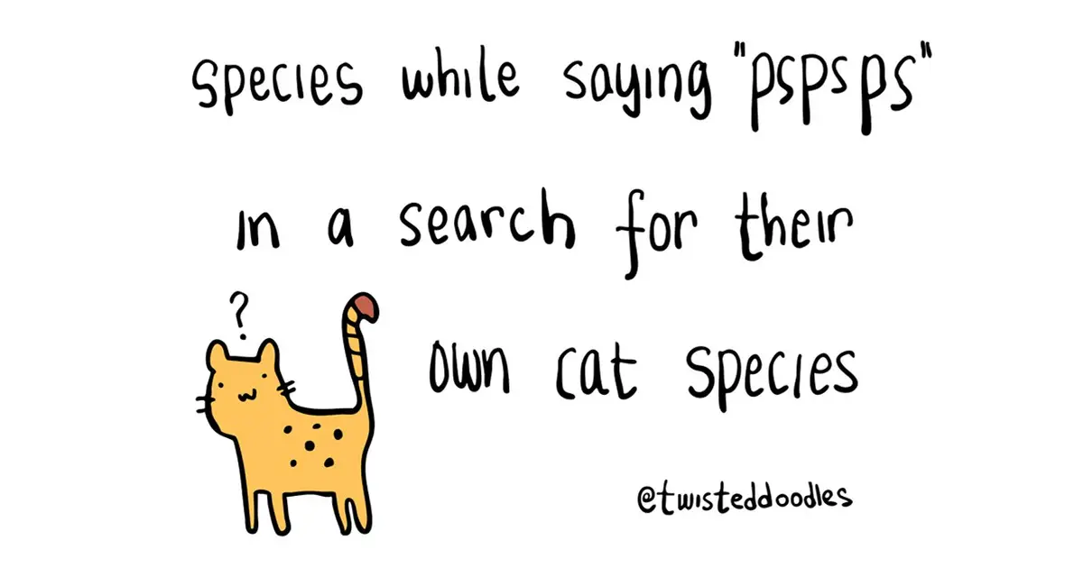 Twisteddoodles on the discovery of a new cat species
