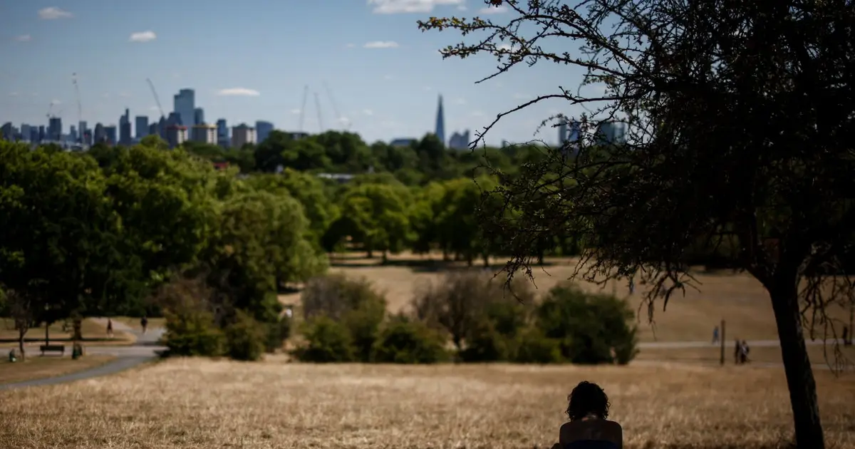 Urban trees in south-east England can’t cope with the changing climate