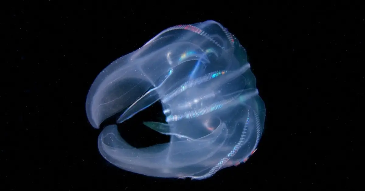 The 12 strangest science stories we can’t stop thinking about