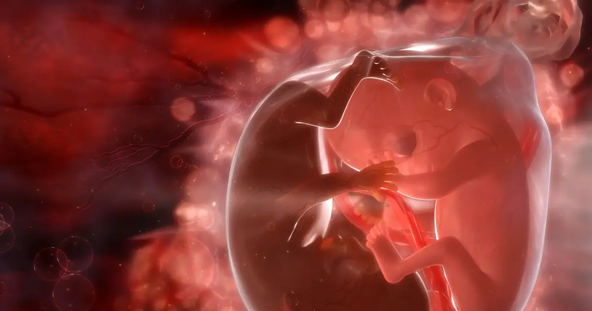 Rare cancer spread between twins in utero