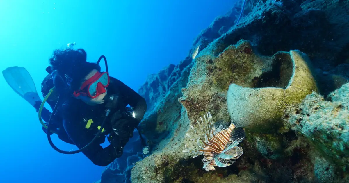 Ancient shipwreck discovered off Turkey claimed to be world’s oldest