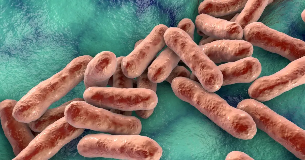 How vaccines could be about to revolutionise acne treatments