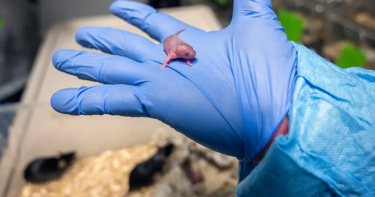 Inhaling CO2 may rescue nerves’ ability to regrow