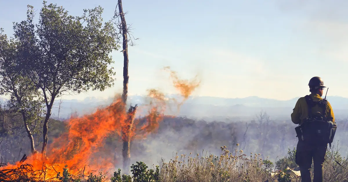 Schneider Electric unveils new grid , transmission solutions to maintain power during severe weather and wildfires
