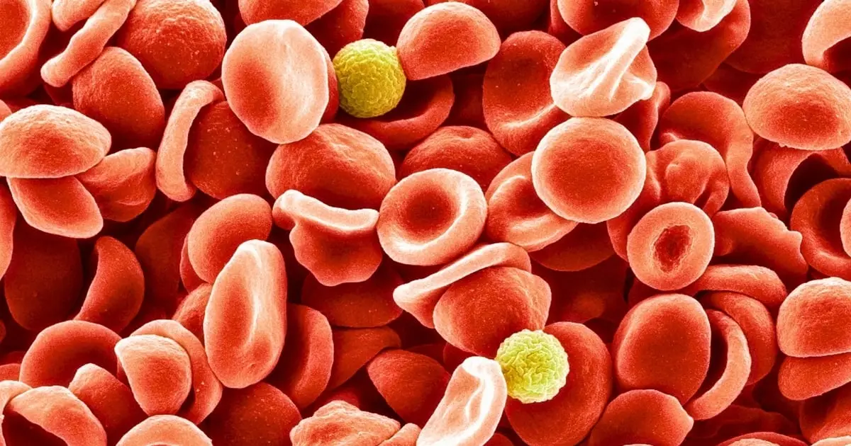 Stress Can Physically Alter Your Blood's Structure, Study Reveals