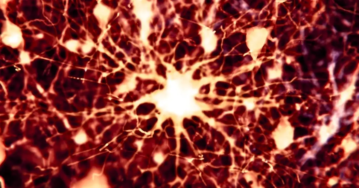 Scientists Found 2 Existing Drugs Could Reverse Alzheimer's Brain Damage in Mice
