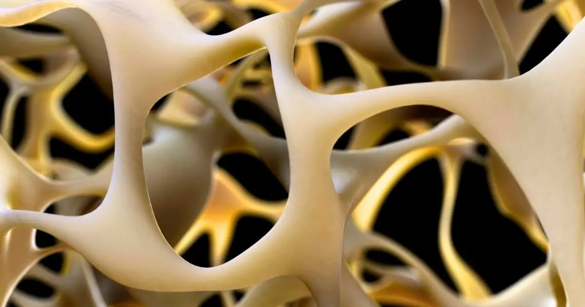 Breakthrough to Make Bones Stronger Could Reverse Osteoporosis