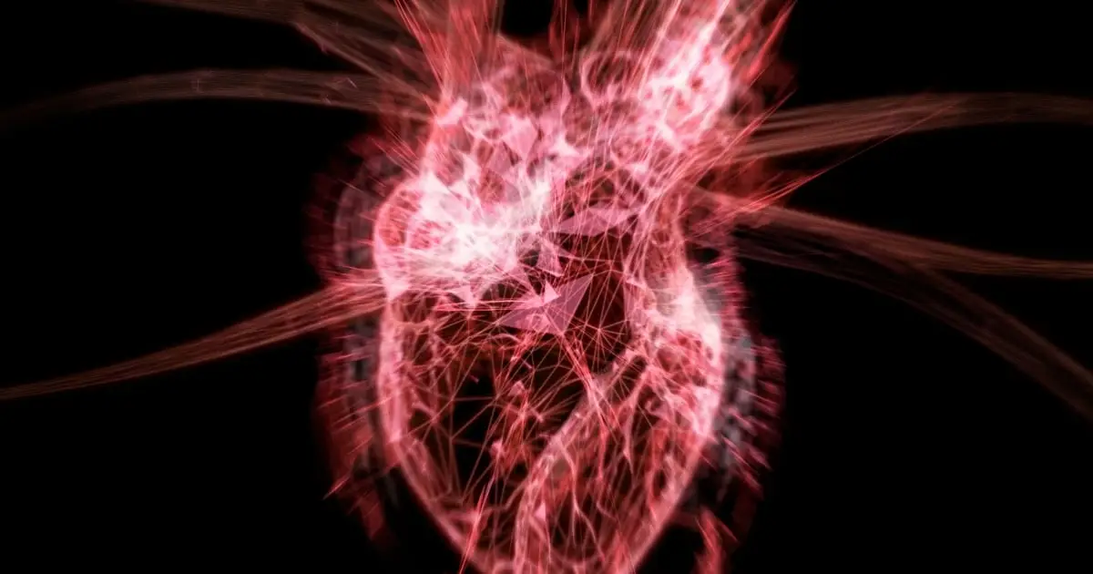 There's a Link Between Women's Reproductive Health And Heart Disease Doctors Say We're Missing