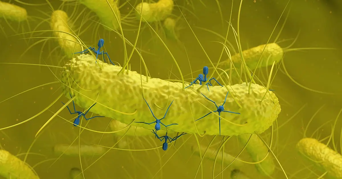 A Hidden Virus Found in Gut Bacteria Is Linked to Colorectal Cancer