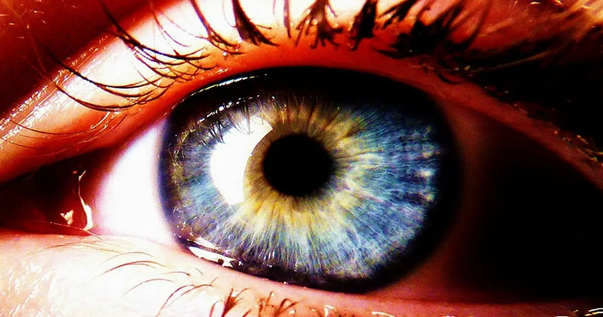 Your Eyes Could Reveal Your Risk of Osteoporosis, Study Finds