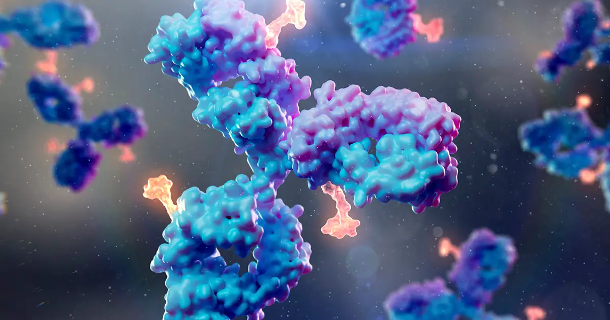 Scientists Develop New Antibody For Virus That Infects 95% of People
