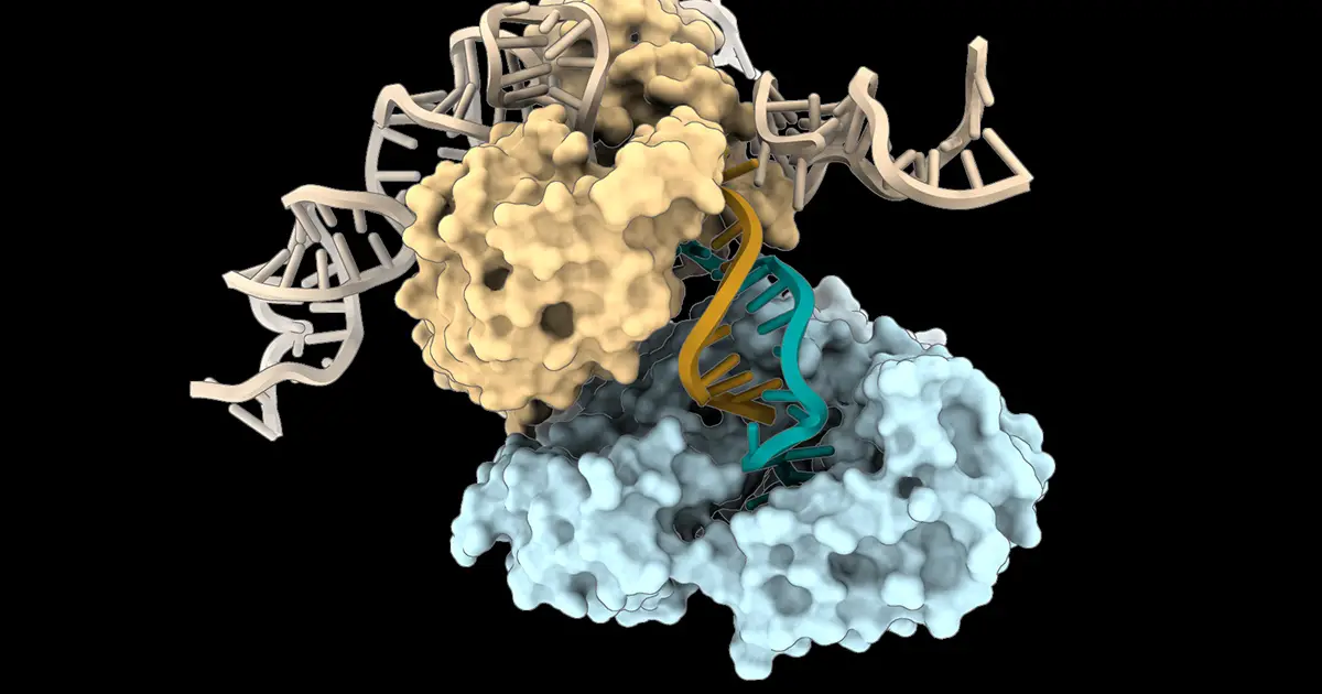 DNA Can Be Built in a Way We've Never Seen Before, Study Finds