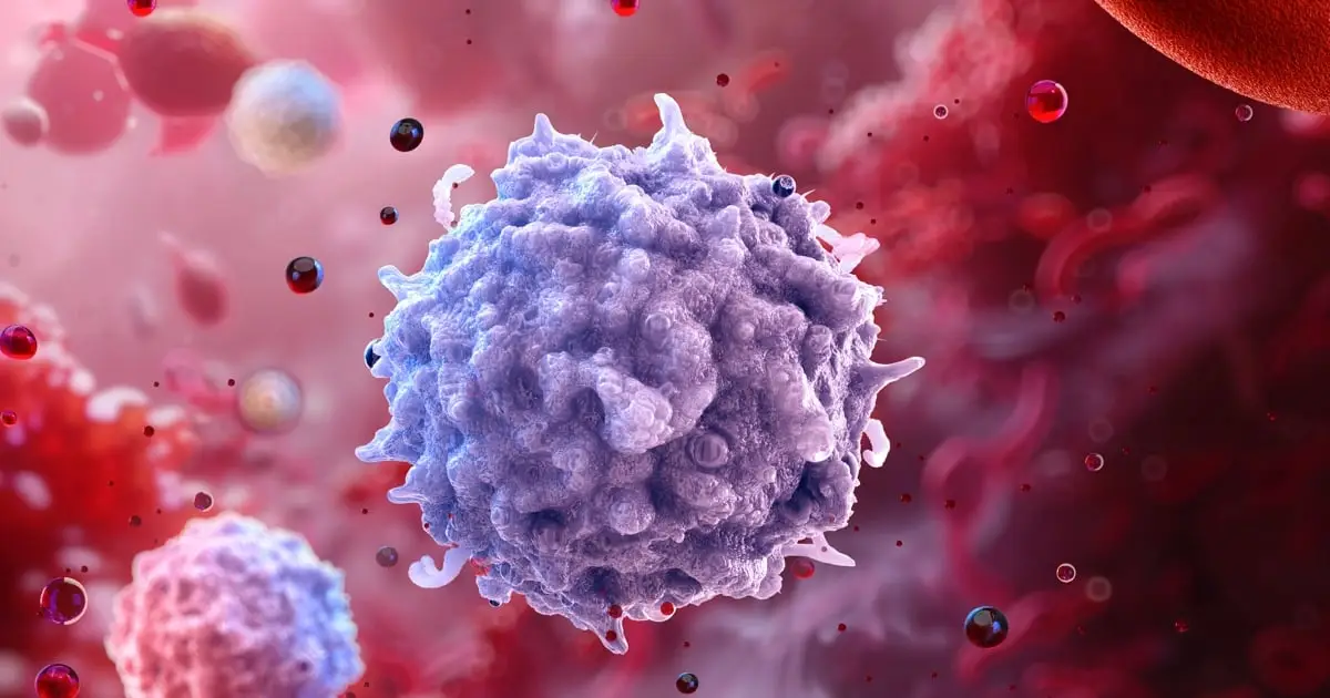 Immune Cells 'Remember' Obesity Long After Weight Loss, Study Finds