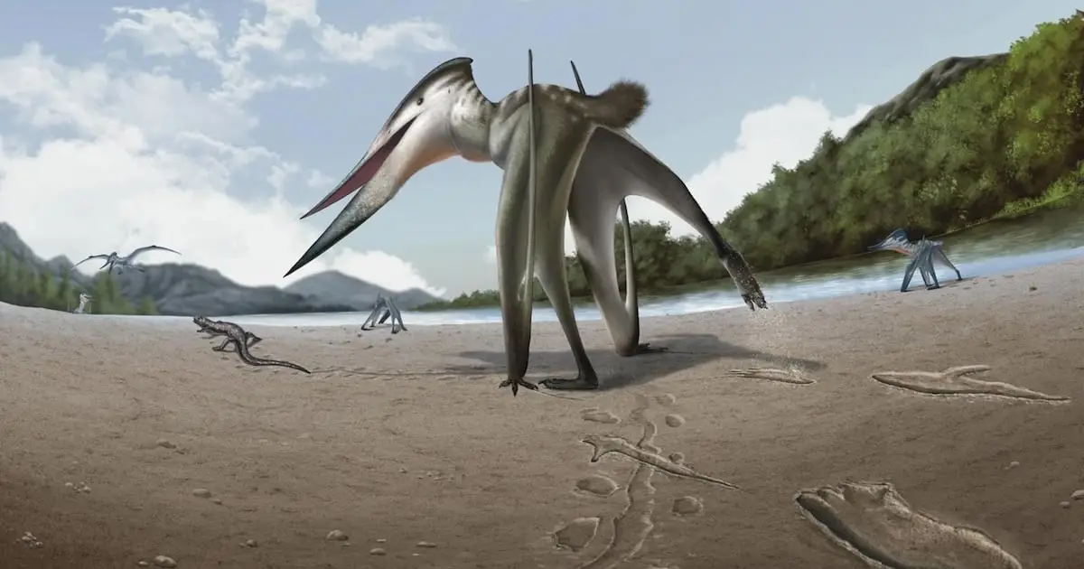 Ancient Footprints Suggest a Flying Predator Was Chasing Prey on Land