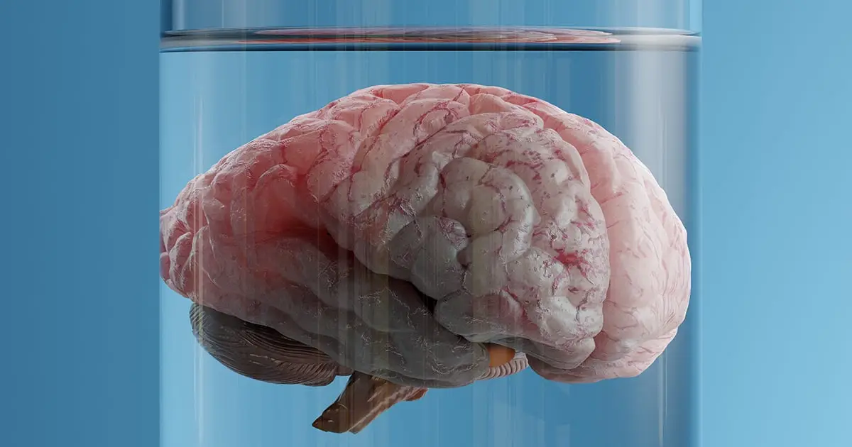 What if The Brain Doesn't Create Consciousness? Scientist Proposes It Might Be The Fabric of Reality Itself