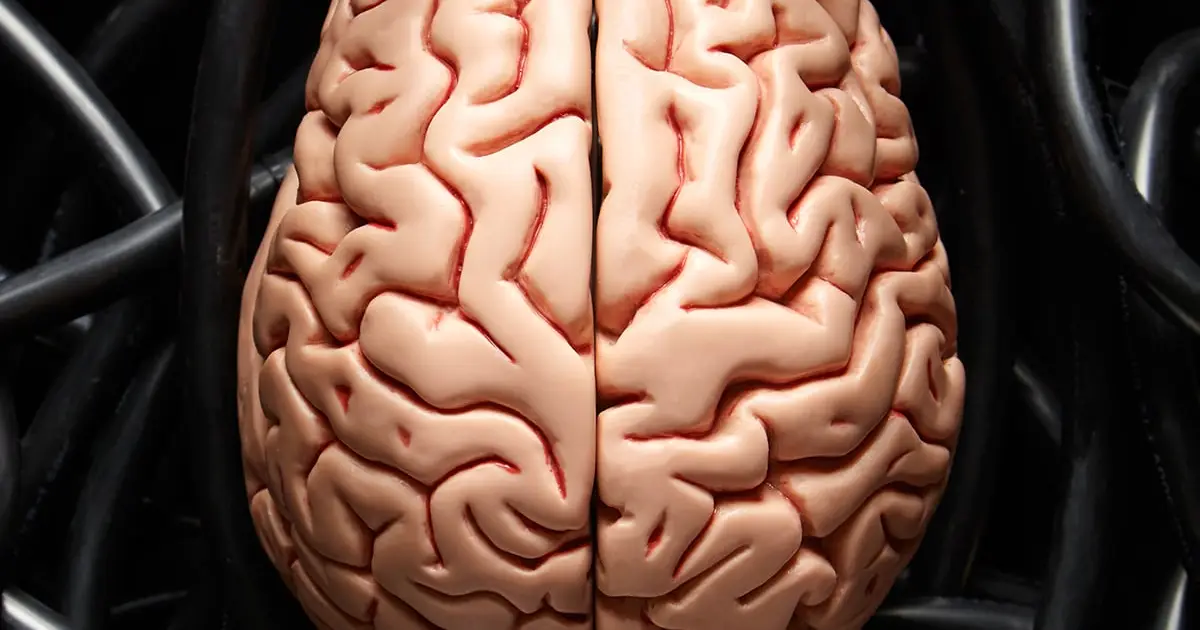 Promising Anti-Aging Drug May Cause Brain Damage, Scientists Warn