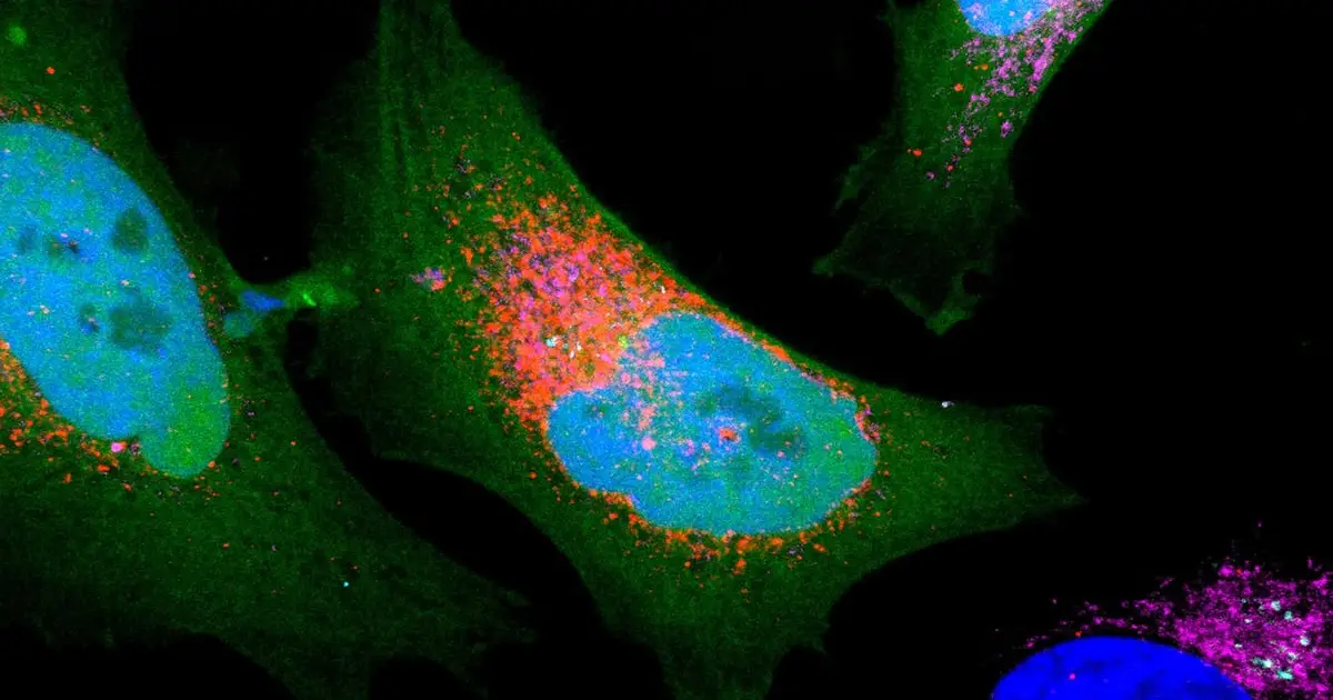 Scientists Discover Over 1,700 'Dark' Proteins Hidden in Human Cells