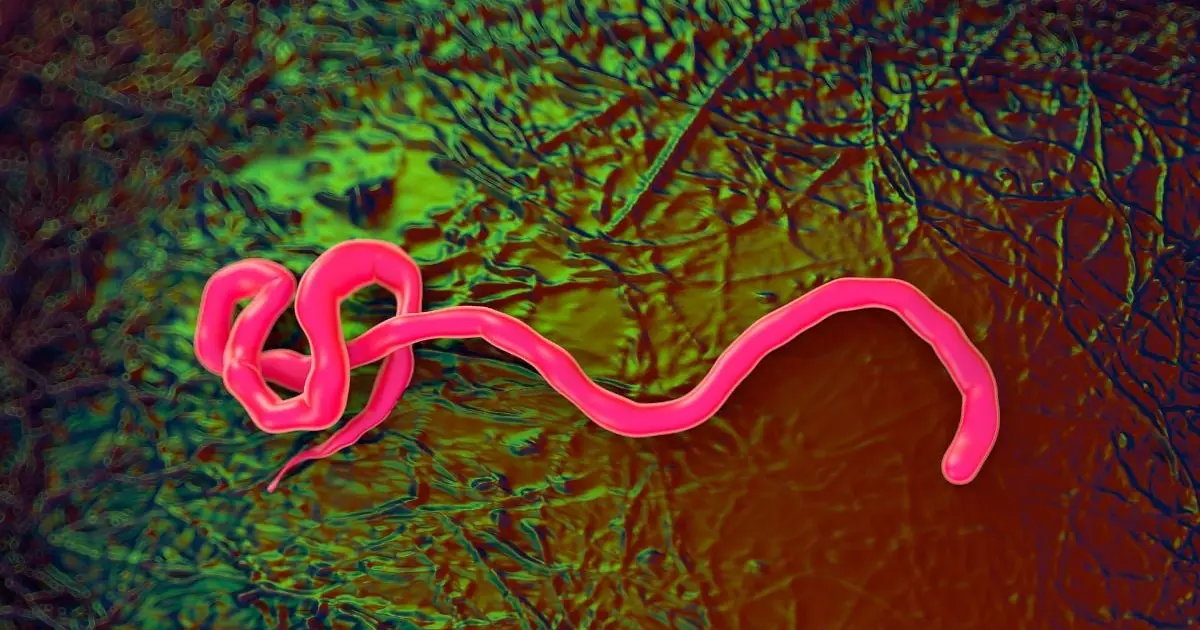 Three New Ebola Vaccines Are in The Works. Here's The Science Behind Them.