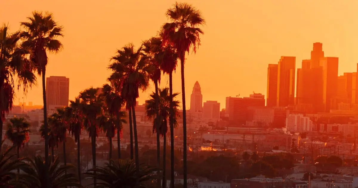 Trees Can Halve The Heat Trapped in Cities, But There's a Catch