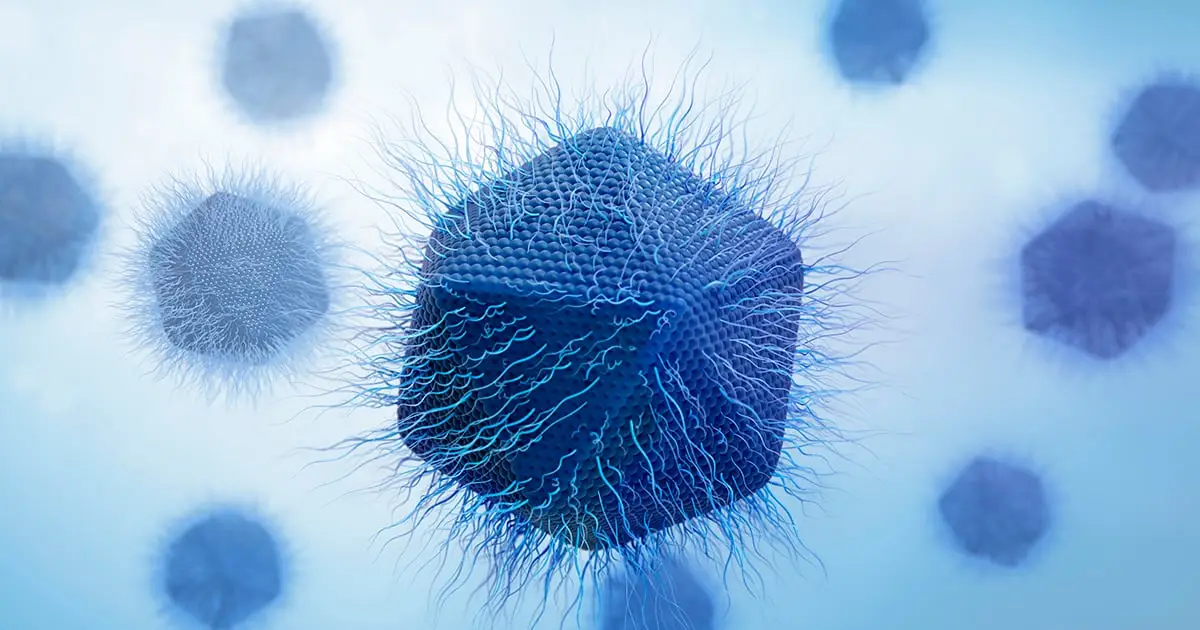 Scientists Discover New Giant Virus That Replicates in a Totally Unique Way