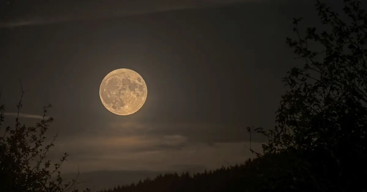 Rare Blue Micromoon Won't Return Until 2053 – Don't Miss It This Week!