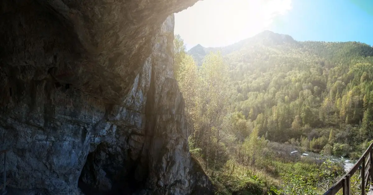 400,000-Year-Old Proteins Reveal a Surprise Twist in The Human Family Tree
