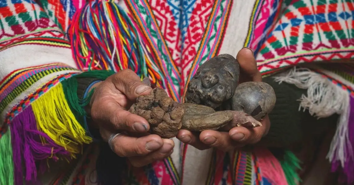 Humans in The Andes Have Evolved a Strange Digestive Superpower