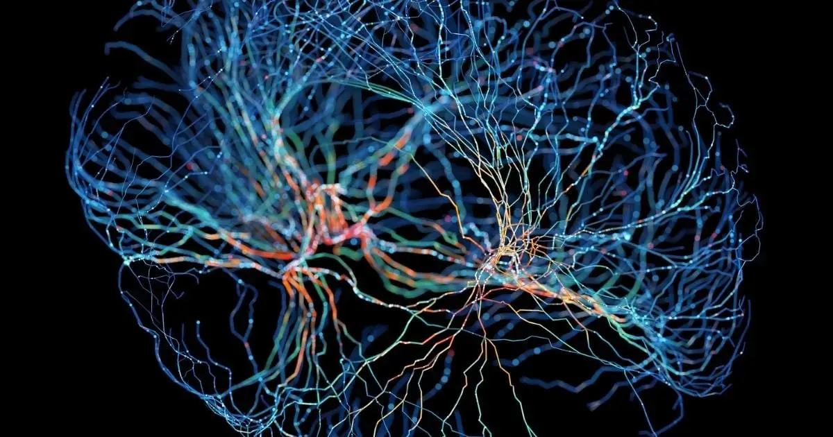 Scientists Find Brain's Ancient 'Focus Switch' – And It Controls Attention
