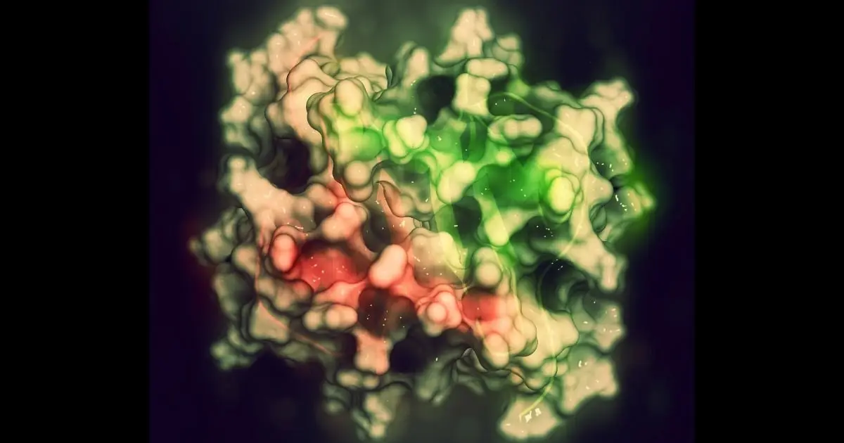 Aging Mice Became Stronger When Scientists Boosted One Protein
