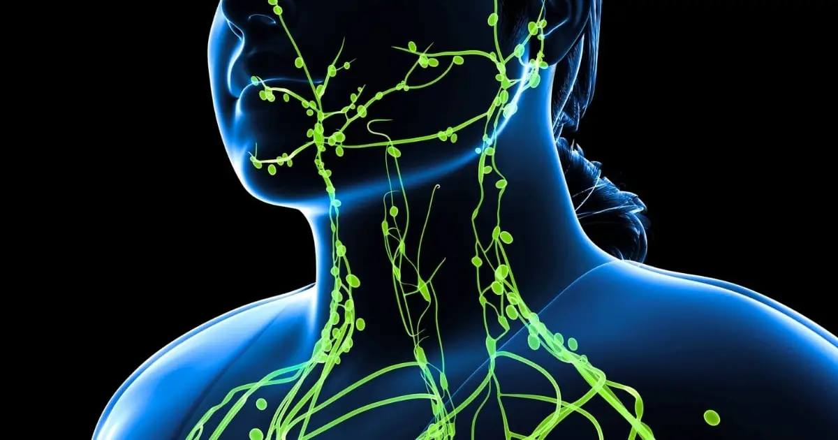 Should You Try Lymphatic Drainage? Here's What Science Says