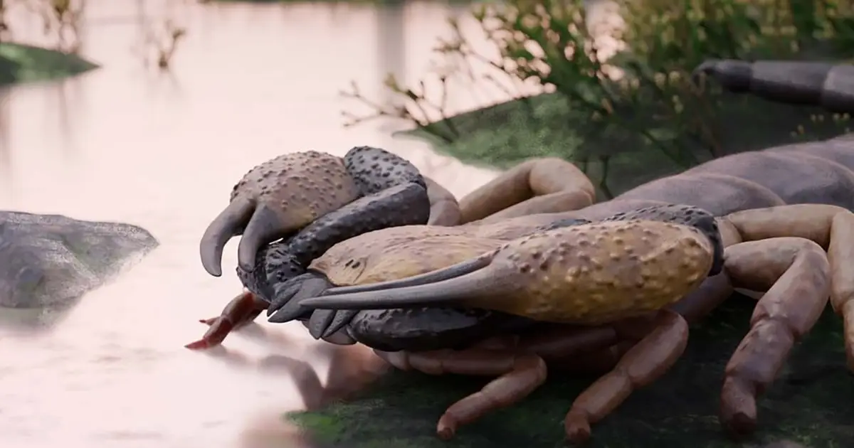 Scientists Identify The World's Biggest Known Scorpion, The Size of a Dog