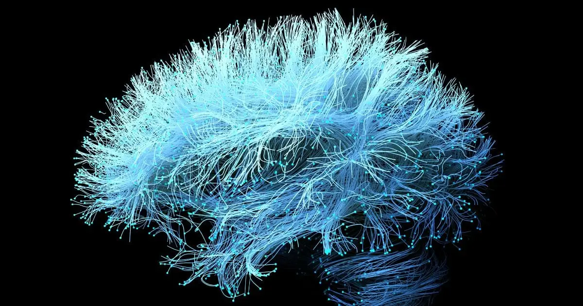 A Supplement For Joint Pain Could Accelerate Alzheimer's Memory Loss
