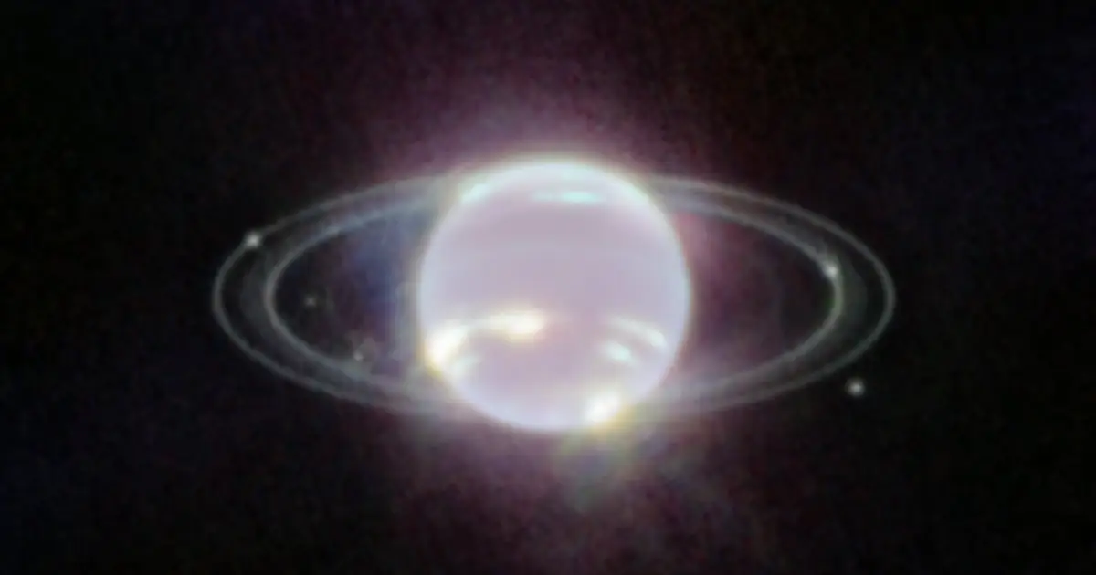 A Strange Moon Orbiting Neptune May Be The Sole Survivor of an Apocalypse