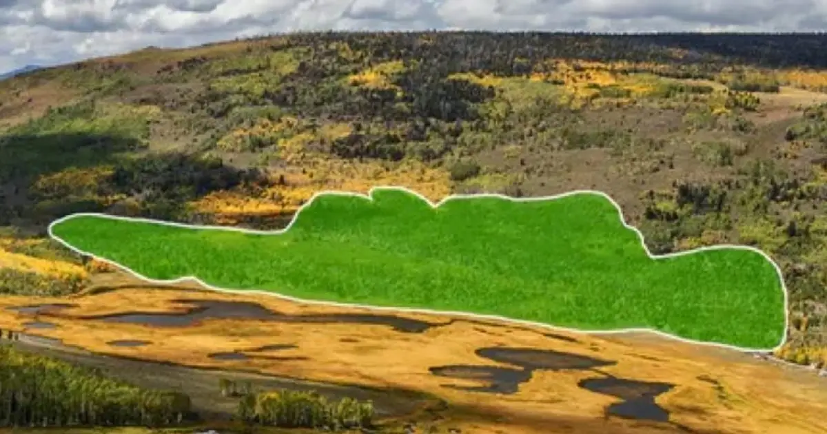Haunting Sounds of The World's Largest Living Thing Recorded