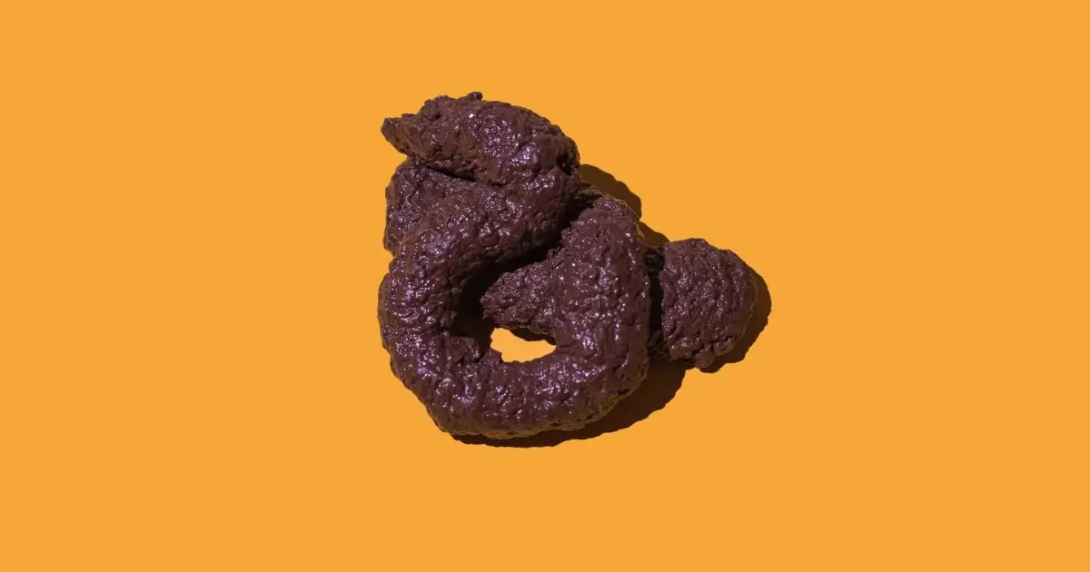 There Is a Universal Law in The Shape of All Poop, Physicists Reveal