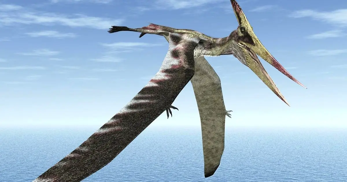 Ancient Pterosaur Wing Reveals Biological Secrets Hidden For 100 Million Years