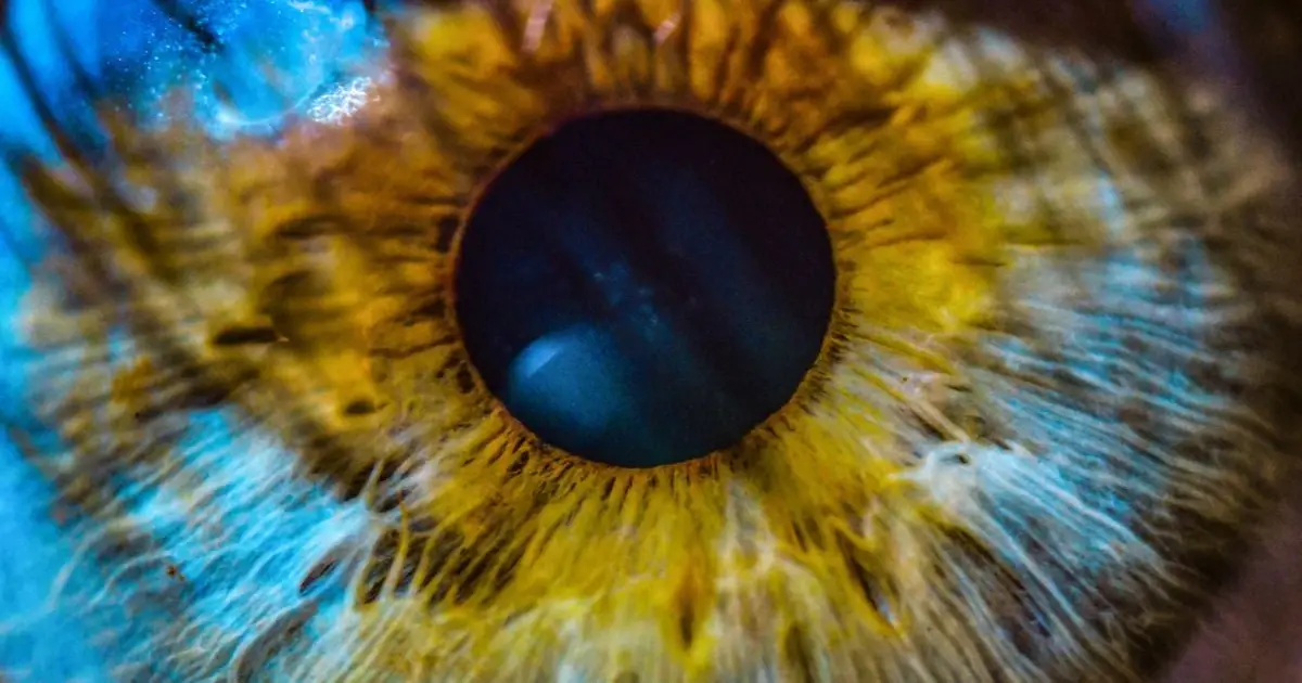 A Signal of Future Alzheimer's May Be Hidden in Your Eyes