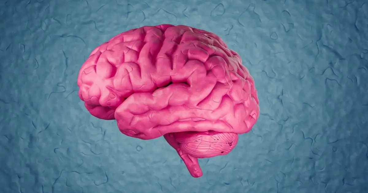 A Single Lifestyle Change Could Lower Your Risk of Dementia by 16%
