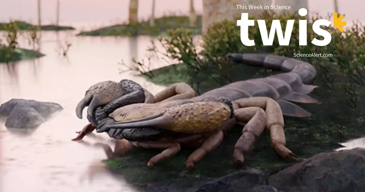 This Week in Science: World's Biggest Scorpion, a Whale Graveyard, And More!