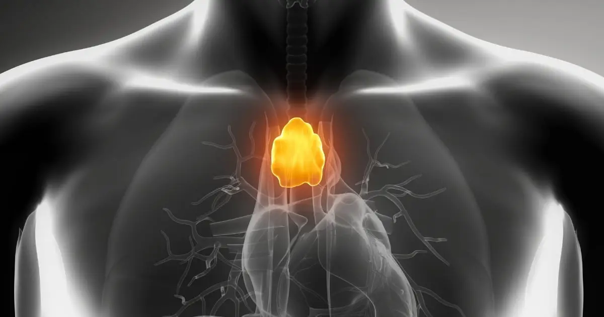 A 'Useless' Organ That Doctors Often Remove May Actually Fight Cancer