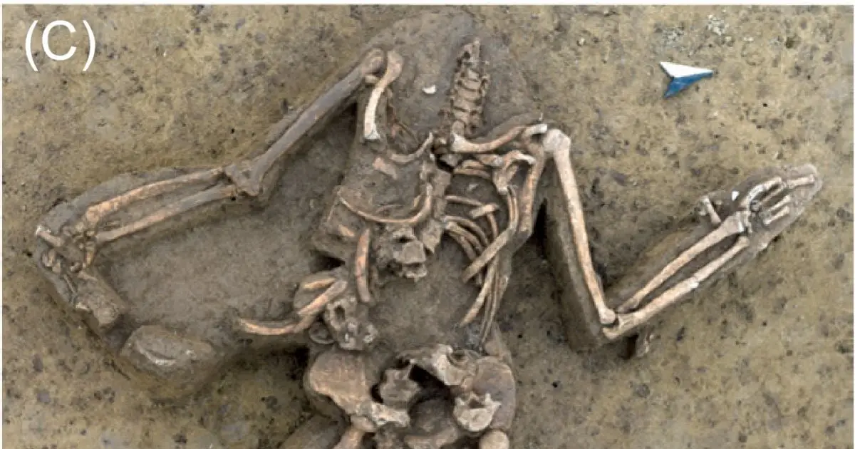 Nearly 80 Headless Human Skeletons Discovered At A Spooky Stone Age Site
