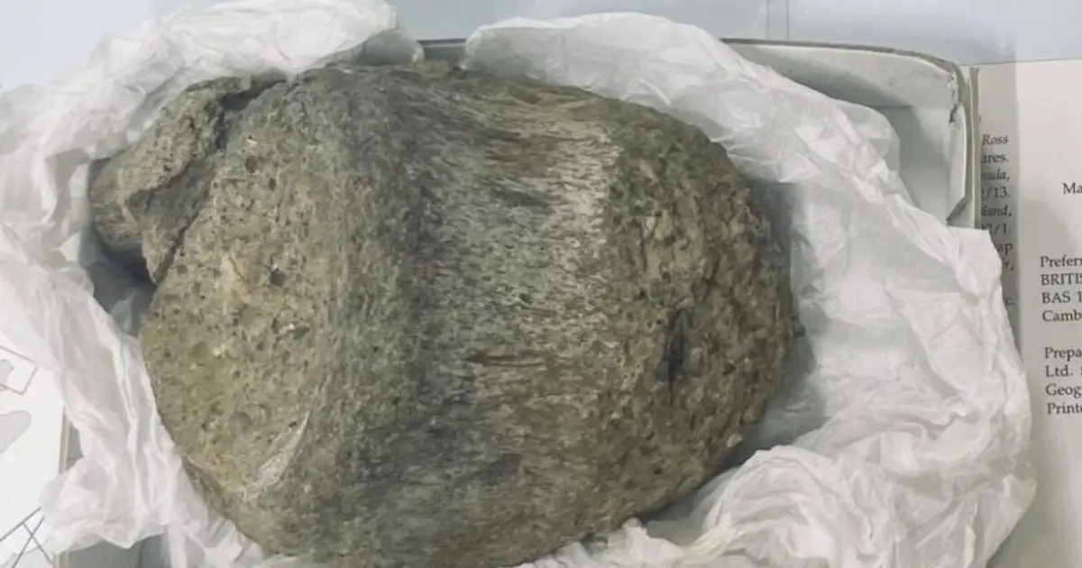 Fossil Kept in a Drawer For 40 Years Turns Out to Be Antarctica's First Evidence of Dinosaurs